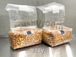 Sterilized Grain Spawn Bags Biodegradable Corn