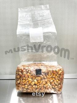 Sterilized Grain Spawn Bags Biodegradable Corn