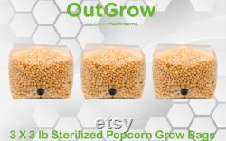 Sterilized Popcorn Grow Bags (9lbs)