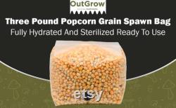 Sterilized Popcorn Grow Bags (9lbs)