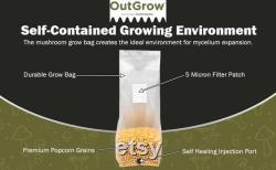 Sterilized Popcorn Grow Bags (9lbs)