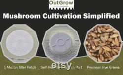 Sterilized Rye Berry Mushroom Substrate Jars 4 Pack Grain Spawn Jars Out-Grow