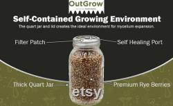 Sterilized Rye Berry Mushroom Substrate Jars 4 Pack Grain Spawn Jars Out-Grow