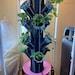 Stylish Vertical Hydroponic Mist With 12 Pots All Inclusive