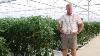 Success With Netafim Greenhouse On A Pepper Farm
