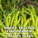 Sweet Yellow Fine Pepper Organic Seeds, 100 Count Sweet Yellow Fine Pepper Seed, Pepper Plant Seeds For Garden And Pot, Non-gmo Heirloom
