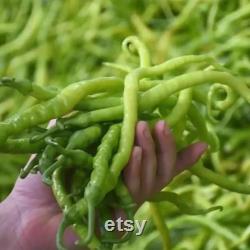 Sweet Yellow Fine Pepper Organic Seeds, 100 Count Sweet Yellow Fine Pepper Seed, Pepper Plant Seeds for Garden and Pot, Non-GMO Heirloom