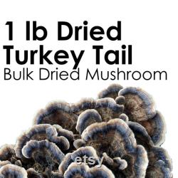 TURKEY TAIL Dried Mushroom Trametes Versicolor Organic Wild Harvested Hand Picked 1 pound 454 gram