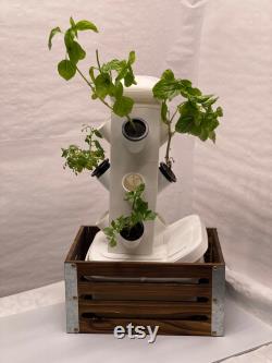 Table Top Hydroponic Garden