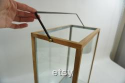 Tall Glass and Wood Indoor Terrarium, Tabletop Wood and Glass Greenhouse, Planter, Terrarium, Candle Holder, Handled Display Case USA Ship