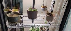 Tall Milsbo Wire Shelf for Ikea Greenhouse