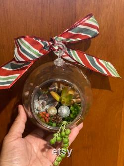 Terrarium Airplant Christmas decoration