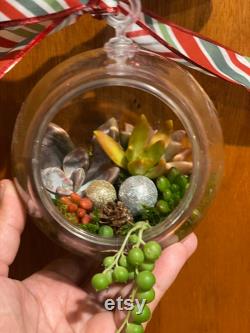Terrarium Airplant Christmas decoration