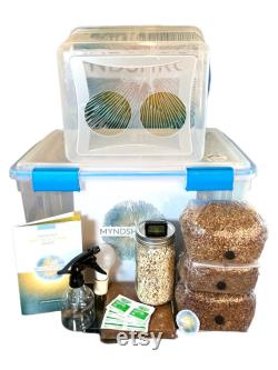 The Galaxy Mushroom Grow Kit Still Air Box, Sterile Grain, Substrate and Monotub included