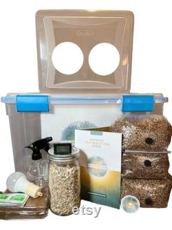 The Galaxy Mushroom Grow Kit Still Air Box, Sterile Grain, Substrate and Monotub included