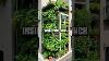 The Ingenious Urban Greenhouse Micro Home