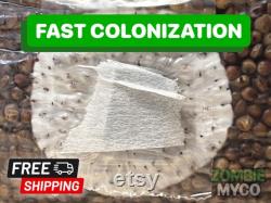The It's Magic Mushroom All In One Grow Bag 6lb FREE SHIPPING
