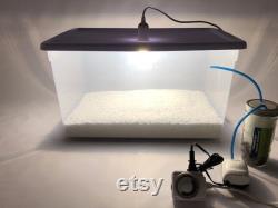 The MycoPark Epic Mushroom Growing Kit