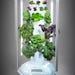 Tower Garden Home