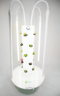 Tower Garden Home