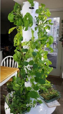 Tower Garden Home