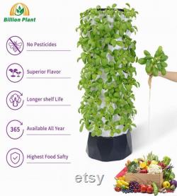 Tower hydroponic system Indoor home Greenhouse automated hydroponic producing strawberries