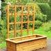 Trellis Planter.