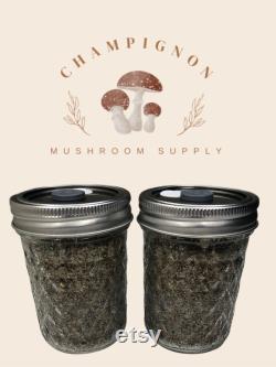 Two BRF Jars Brown Rice Flour Nutrient Fortified Mushroom Substrate