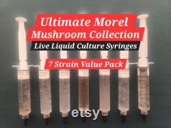 Ultimate Morel Mushroom Growers liquid culture mycelium collection- 7 different strains