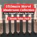Ultimate Morel Mushroom Growers Liquid Culture Mycelium Collection- 7 Different Strains