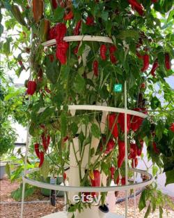Vertical 80-Pots Hydroponics Tower Set Hydroponic Growing System Home Gardening