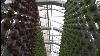 Vertical Greenhouse U0026 R U0026d Hydroponic Farm Eden Green Technology Via Rfd Tv