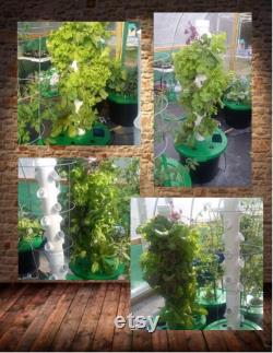 Vertical Hydroponic Aeroponic Grow Tower