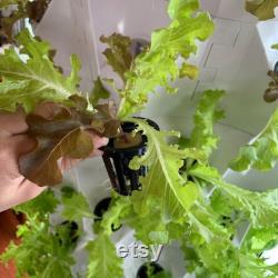 Vertical Tower Garden Vertical Hydroponic Growing System 10 Layers 80 Plants