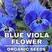Viola, Cornuta Osirus Blue Perfection Organic Flower Seeds, 25 Count Organic Blue Viola Seeds, Heirloom Flower ( Violaceae )