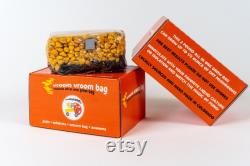 Vroom Vroom Bag All-In-One Mushroom Grow Bag (Grain Spawn and Substrate)