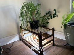 Walnut Plant Shelf with Full Spectrum LED Grow Light. Plant Stand
