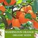 Washington Orange Tree Organic Seeds, 5 Count Washington Orange Tree Seed, Orange Plant For Pot And Garden, Non-gmo Heirloom