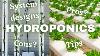 What Is Hydroponics And How Does It Work
