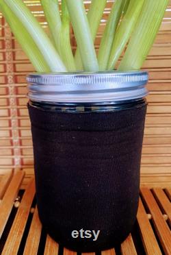 WhattaOnion Hydroponic Kit incudes 16oz WIDE Mouth Mason Jar