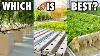 Which Hydroponic System Should You Choose