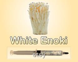 White Enoki Mushroom Liquid Culture 12 ml