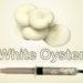 White Oyster Mushroom Liquid Culture