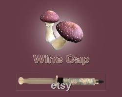 Wine Cap Mushroom Liquid Culture