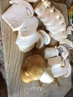 Wine cap stropharia (Stropharia rugosoannulata) 10ml liquid culture syringe