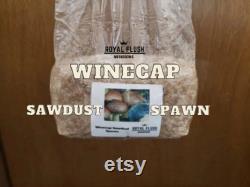 Winecap Garden Spawn Grow Kit 2lb