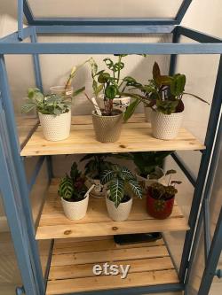Wooden Cold Frame DIY Greenhouse