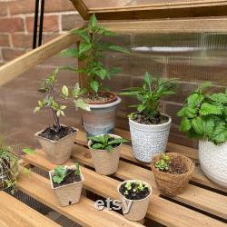 Wooden Framed Polycarbonate Garden Growhouse