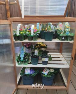 Wooden Greenhouse Grow house Cold Frame