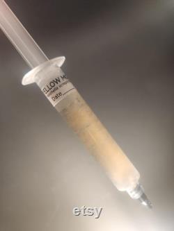 YELLOW MOREL (Morchella sceptrilformis) Mushroom Liquid Culture Mycelium Syringe, 10 ml